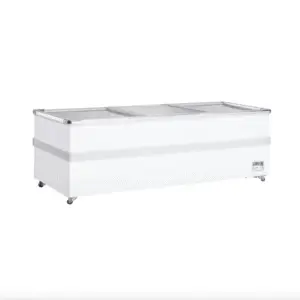 Island Freezer 2346X1105X772mm (1100L)